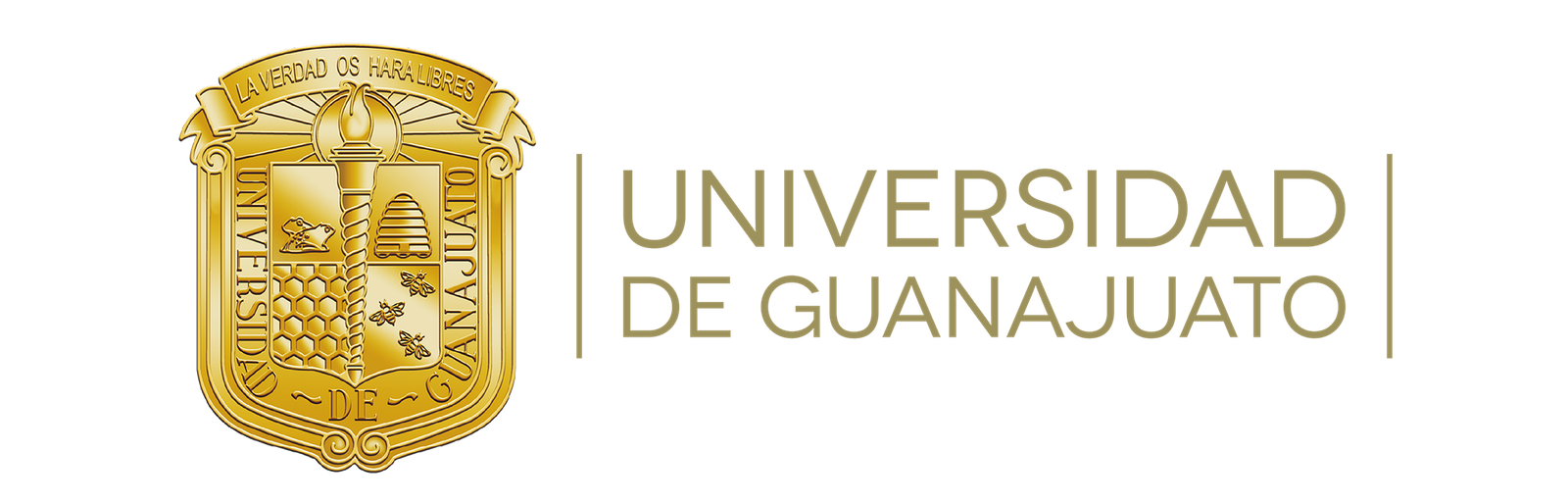 universidad de guanajuato